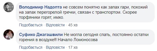 Жителі Києва задихаються від диму і смогу: причини НП і як уникнути отруєння